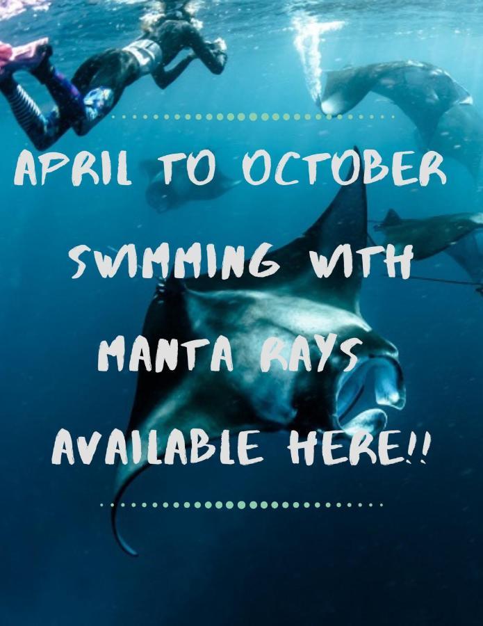 White Sandy Beach-Best Manta Snorkeling Tethi Buitenkant foto